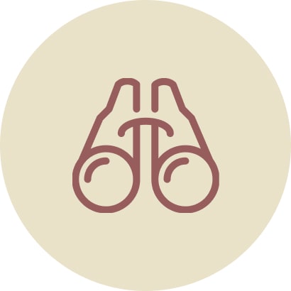 Traditional Curation Process