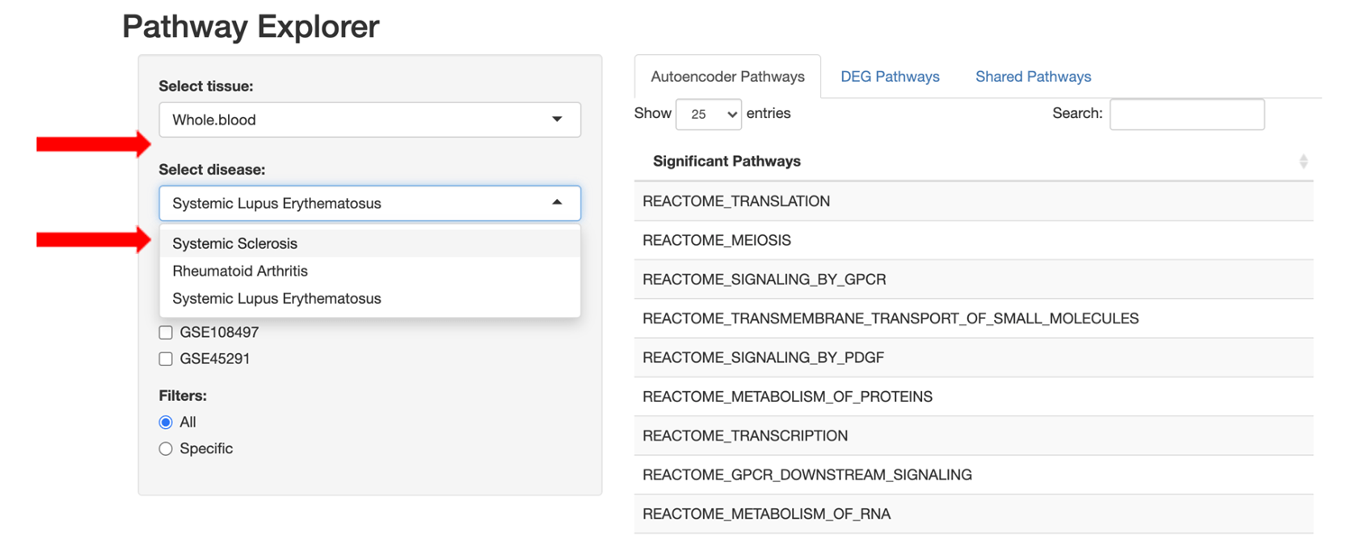 Screenshot showing Pathway explorerer interface demonstrating how tissues and diseases can be selected pathways to show significant pathways for those combinations