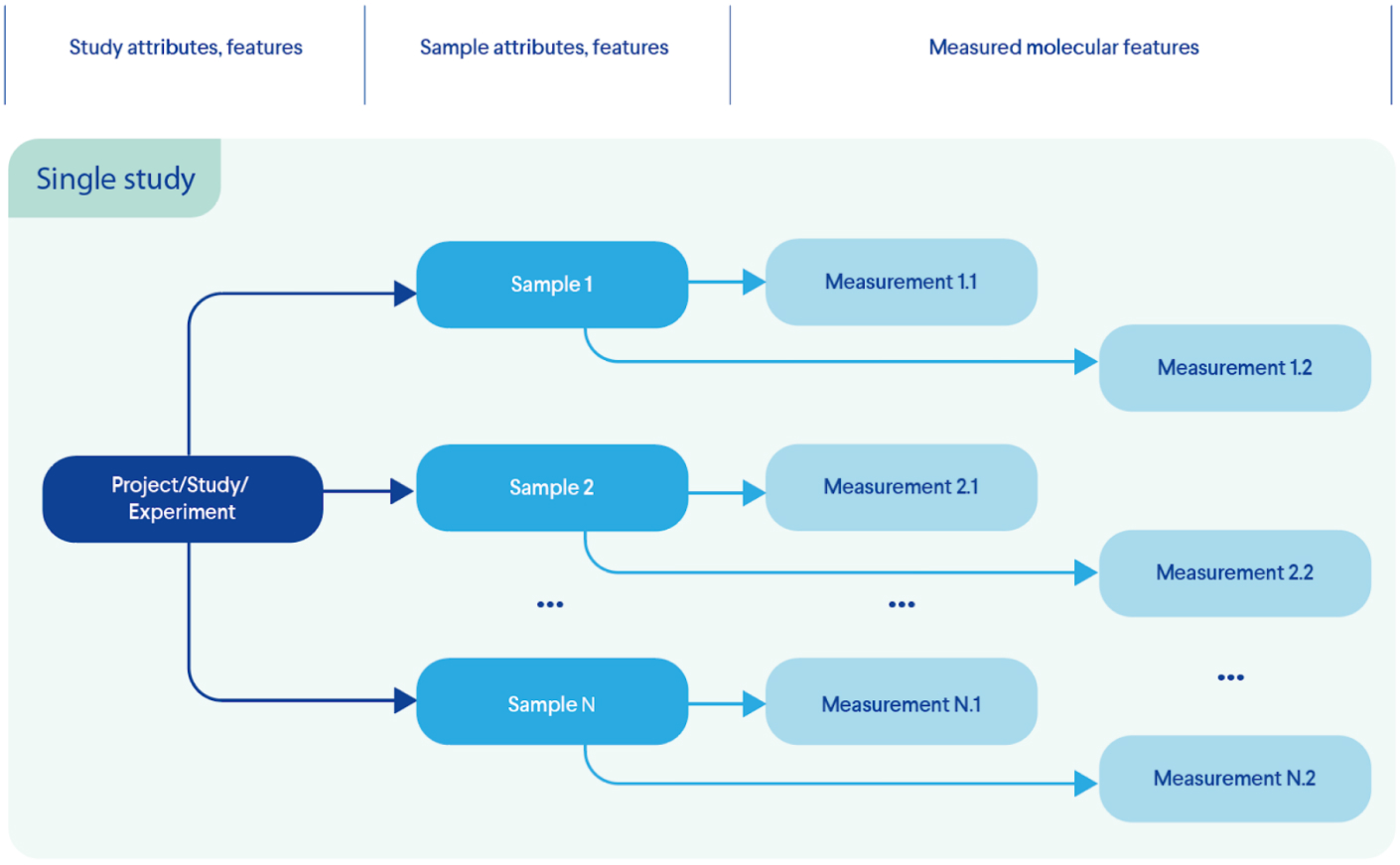 Figure 3. Transformation: Information extraction from multiple files; creation of single entity that emulates the experimental design (data model)