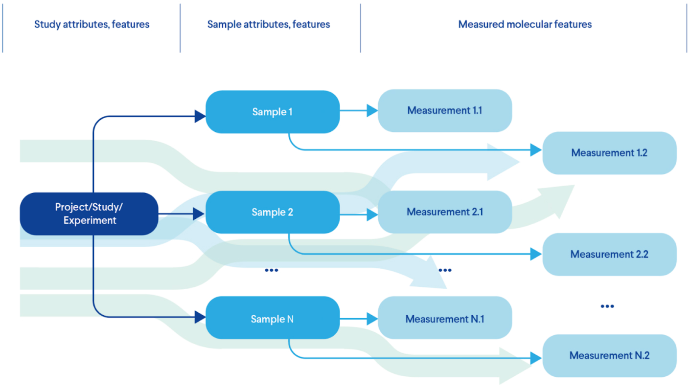 Figure 4. Querying Across Transformed Data