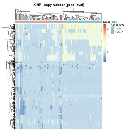 Figure 4. The heatmap of copy number data for KIRP.